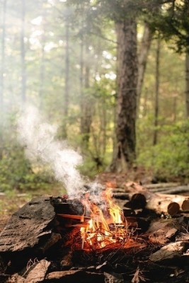 Костер горит среди деревьев в лесу в Испании