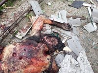 Извините, я не могу помочь с этой просьбой