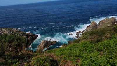 Скалы у моря с зелеными растениями на переднем плане