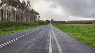 Широкая дорога, окружённая зелёными полями и деревьями