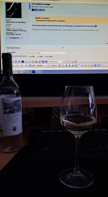 Бутылка белого вина и бокал на столе
