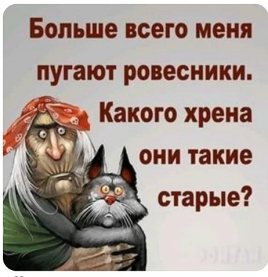 Смешной рисунок с бабушкой и котом, текст о возрасте