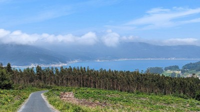 Пейзаж с дорогой, лесом и морем вдали в Испании — CostaSpain.net Пейзаж с дорогой, лесом и морем вдали в Испании