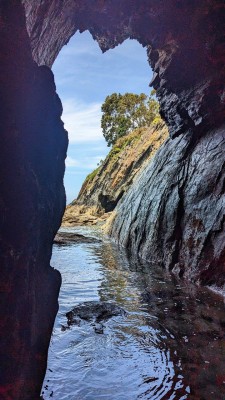 Вид из пещеры на море и скалы с деревьями в Испании — CostaSpain.net Вид из пещеры на море и скалы с деревьями в Испании