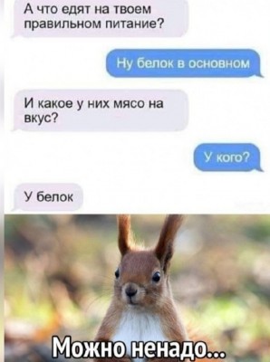 Диалог о правильном питании с изображением белки