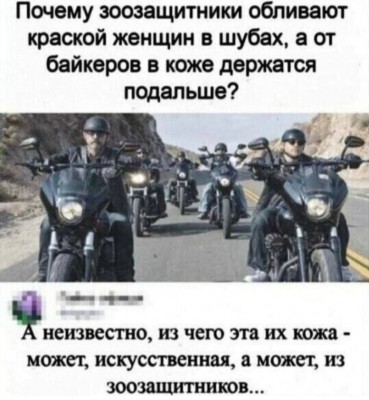 Мотоциклисты едут по дороге, обсуждая защиту животных в салоне Mimi в Дении, Испания