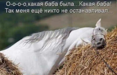 Лошадь лежит на сене с забавным выражением