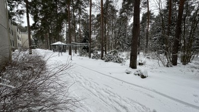 Заснеженная аллея среди деревьев и зданий