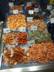 Разнообразие морепродуктов на прилавке магазина — CostaSpain.net Разнообразие морепродуктов на прилавке магазина