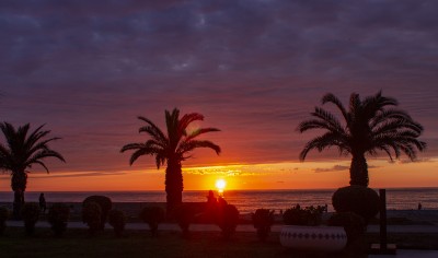 Закат над морем с пальмами на переднем плане в Испании — CostaSpain.net Закат над морем с пальмами на переднем плане в Испании