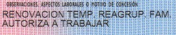 Документ с текстом о разрешении на работу — CostaSpain.net Документ с текстом о разрешении на работу