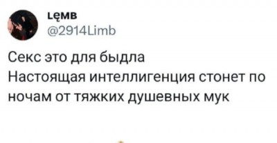 Текст с провокационным высказыванием о сексе и интеллекте