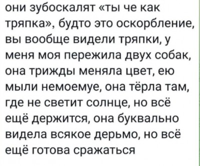 Текст о переживаниях и стойкости собаки