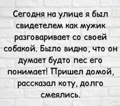 Текст о мужчине, разговаривающем с собакой на улице в Испании