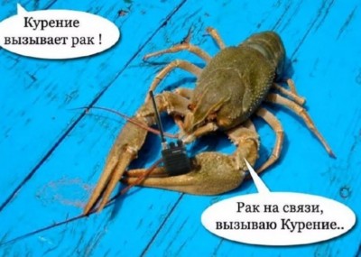Рак с радиопередатчиком на синем фоне