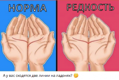 Сравнение ладоней с двумя линиями и одной линией — CostaSpain.net Сравнение ладоней с двумя линиями и одной линией