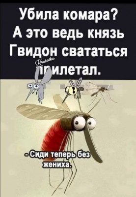 Комары обсуждают свадьбу и последствия её отмены