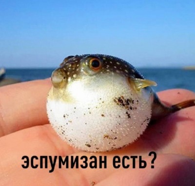 Рука с рыбой, надувшейся до большого размера
