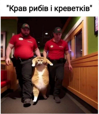 Два человека в униформе несут кота на руках — CostaSpain.net Два человека в униформе несут кота на руках