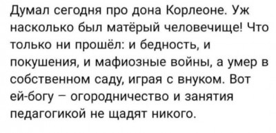 Текст о жизни дона Корлеоне и его опыте