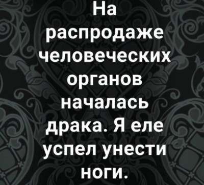 Текст о драке на распродаже органов