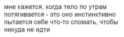 Текст о том, как тело тянется по утрам