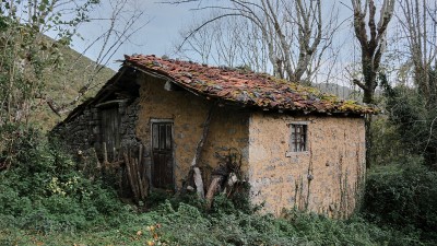 Старая хижина, окруженная зеленью и деревьями