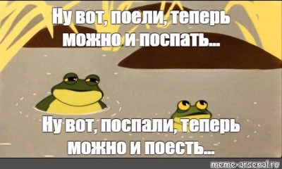 Лягушки обсуждают порядок действий: еда, сон, еда