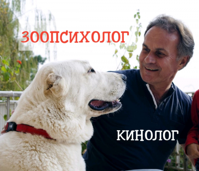 Человек общается с собакой на улице в Испании