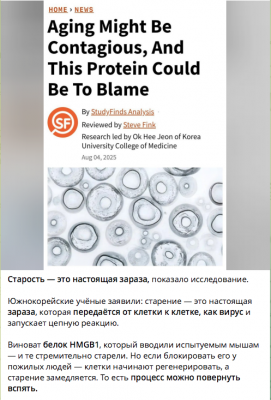 Исследование о старении как заразном процессе
