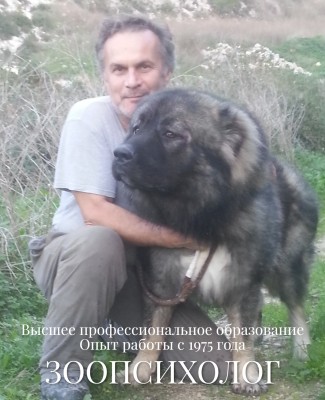 А это кобель - Пират.