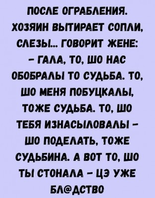 Текст о реакции хозяина после ограбления и его диалоге с женой