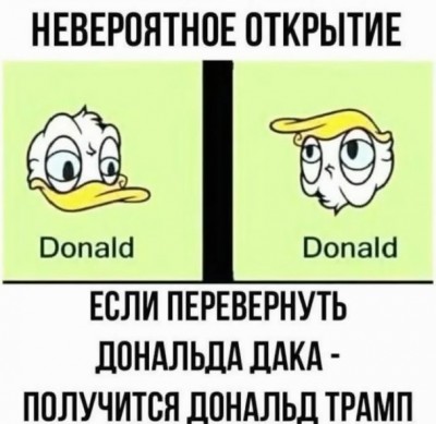 Скриншот 29-01-2026 023304.jpg