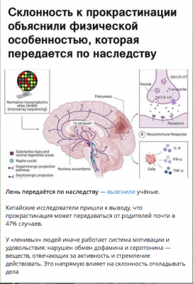 Схема мозга с указанием областей и функций