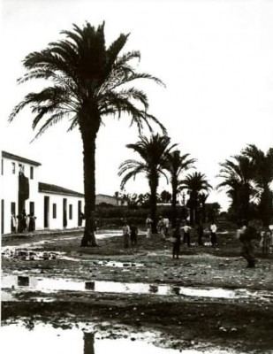 фото проспекта Саладар в Дении, 1909 год
