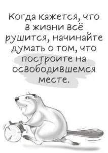 Мультяшный бобёр с инструментом и текстом о жизни