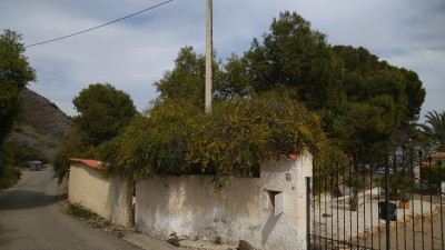 Сельский пейзаж с домом, растущими деревьями и зелеными растениями, в Испании