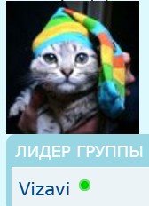 Кот в яркой шапке с полосками радуги.