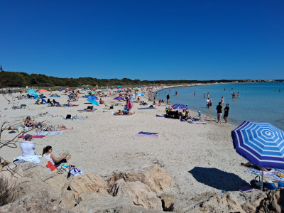 Ses salinas