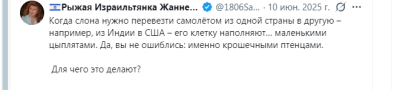 Текст Twitter-аккаунта с юмористическим примером о переноске слона.