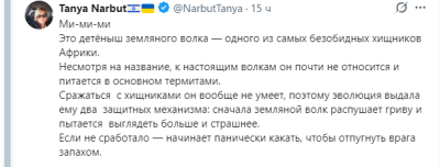 На фото детёныш земляного волка, обитающего в Африке.