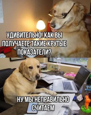 Смешная картинка с двумя собаками, сидящими за столом с компьютером.