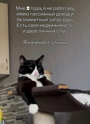 ^w^