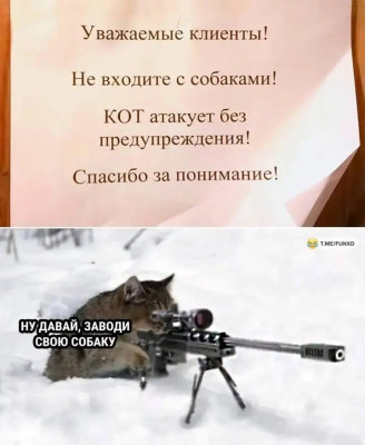 ^w^