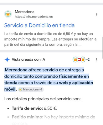 Текстовая информация о сервисе доставки Mercadona.