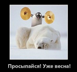 Пингвин будит спящего белого медведя весной