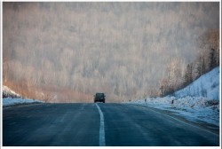 Пустая дорога с автомобилем на фоне леса