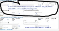 Форма с адресными данными для представителя в Испании
