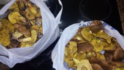 Две пластиковые сумки с собранными грибами