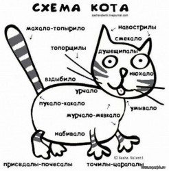 Схема с забавными названиями частей тела кота — CostaSpain.net Схема с забавными названиями частей тела кота